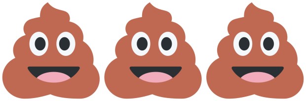 poo