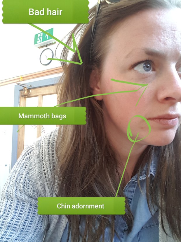 Portrait of a Knackered Mum