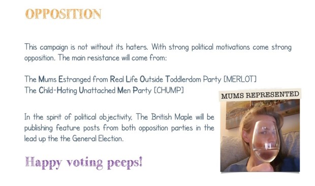 The TOddler PArty MAnifesto.005