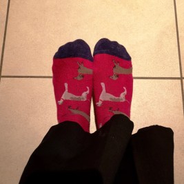 Joules socks