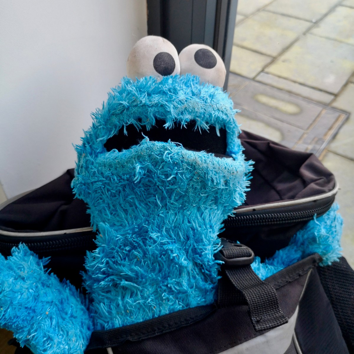 Infested Cookie Monster
